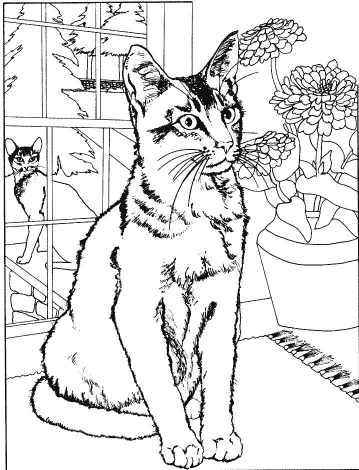 coloriage chats se regardant a travers les vitres